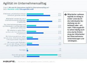 Haufe-Agilitäts-Barometer2016