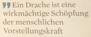 ksta_drachen-respekt_03-01-17b